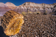  MWW - Petrified Forest N.P.